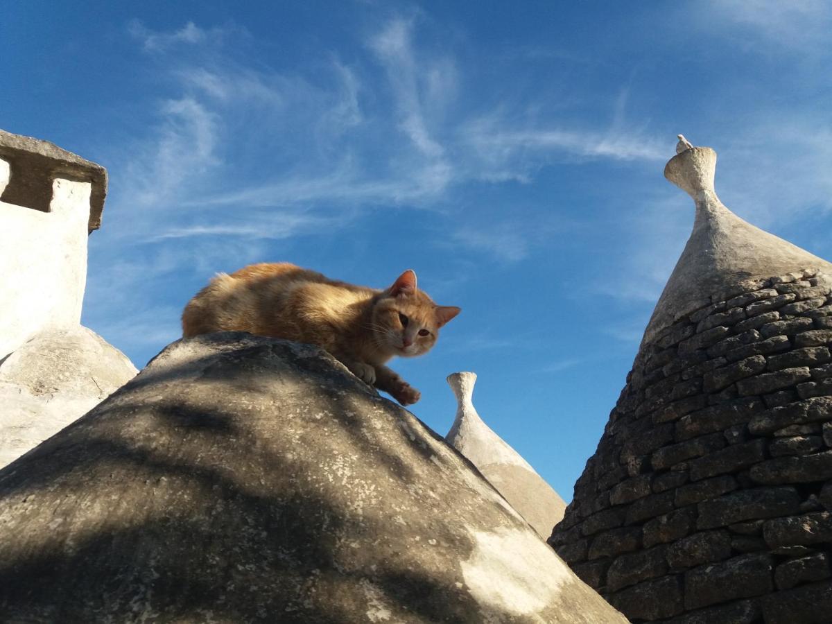 Trulli Di Puglia - Casa Vacanze In Valle D'Itria Martina Franca Exteriér fotografie